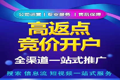 SEM竞价入门指南，经典案例分享